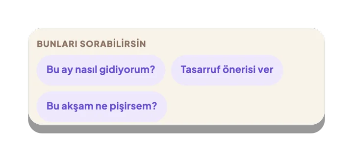 Orentor'a sorulabilecekler: Bu ay nasıl gidiyorum, Tasarruf önerisi ver, Bu akşam ne pişirsem